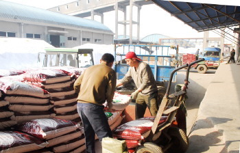 红日阿康“硫能”肥料销售忙